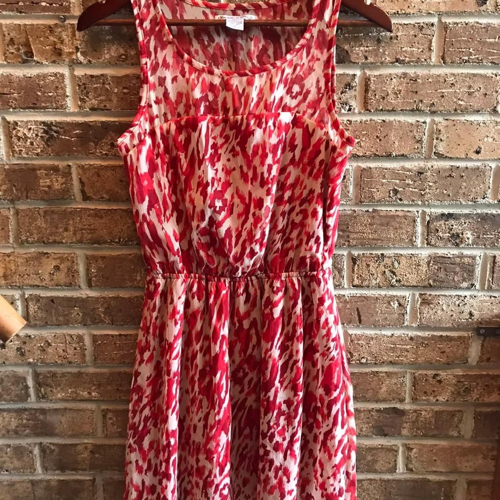 Rachel and Chloe size small dress